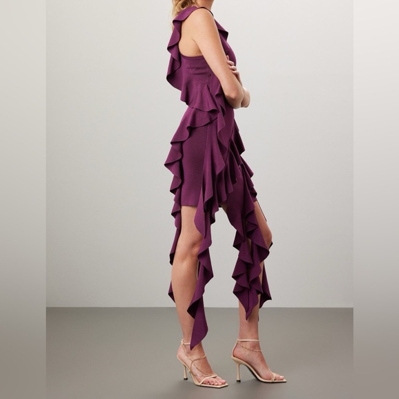 SIMKHAI Wilda Ruffle Dress, XS - Picture 3 of 13